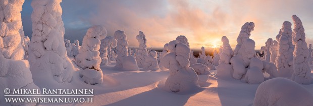 Auringonlasku Riisitunturilla