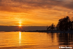 Lauttasaari, Helsinki (H600)