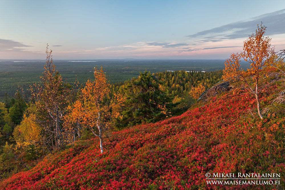 Iivaara, Kuusamo