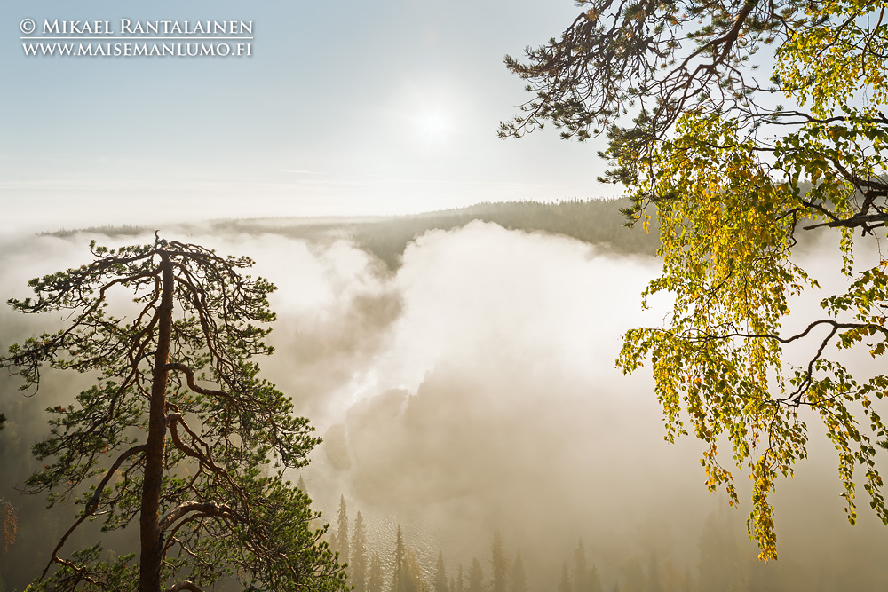 Aamusumua Päähkänäkalliolla, Kitkajoki, Kuusamo