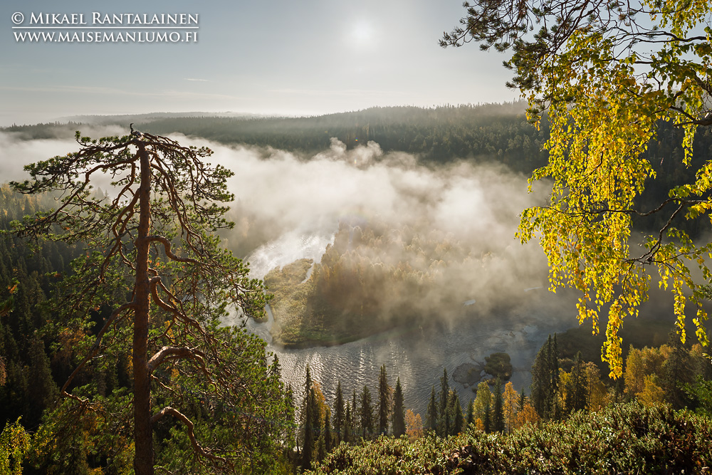 Aamusumua Päähkänäkalliolla, Kitkajoki, Kuusamo