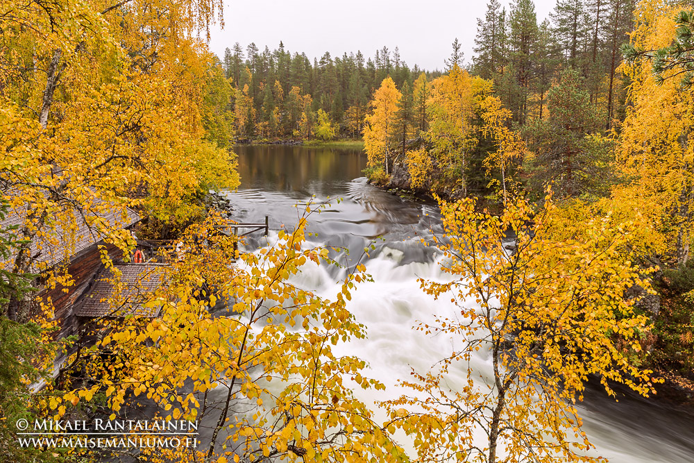 Myllykoski, Kitkajoki, Kuusamo