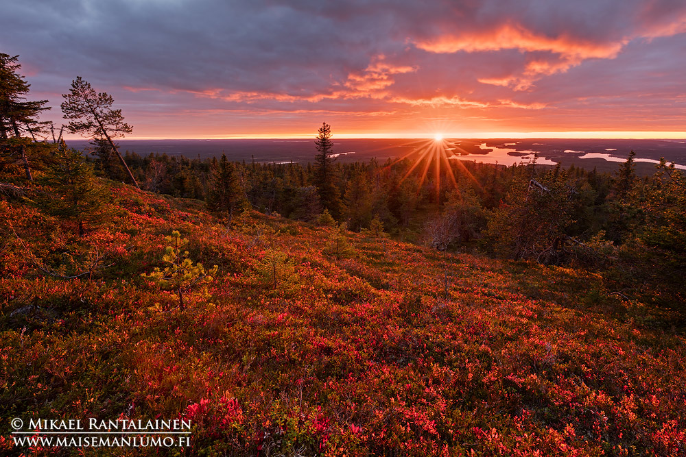 Iivaara, Kuusamo