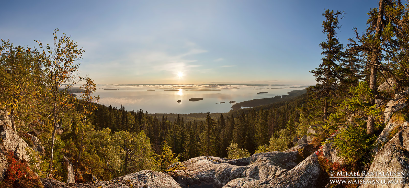Koli, Lieksa (PK102)