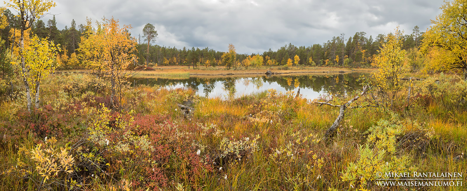 Haapakosken lähellä, Inari (PK106)