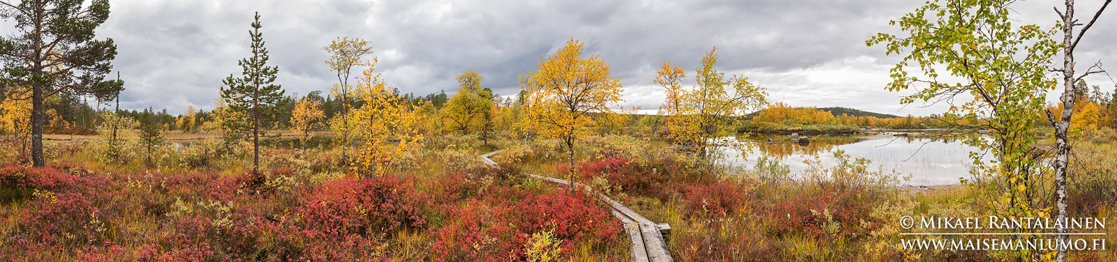 Haapakosken lähellä, Inari (PK107)