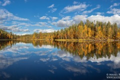 Myllykosken yläpuolinen suvanto, Kuusamo (PK116) Myllykosken yläpuolinen suvanto, Kuusamo (PK116)