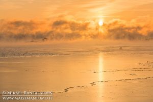 Merisavua auringonnousun aikaan, Kallahdenniemi, Helsinki (HT214)